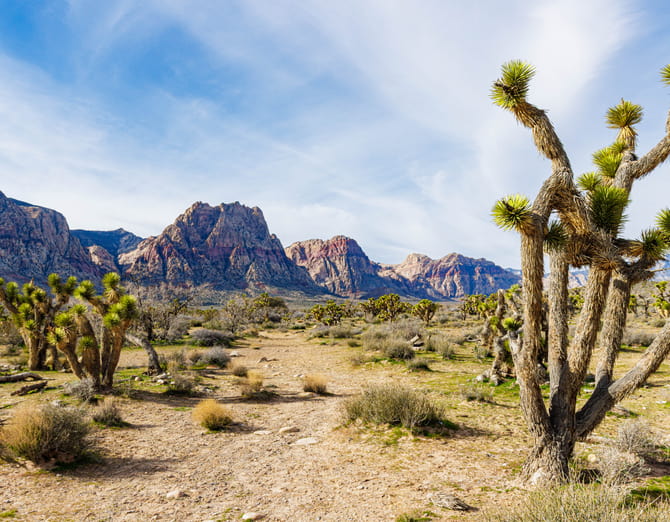Desert landscape in a national park near Las Vegas with rocky mountains and open trails
